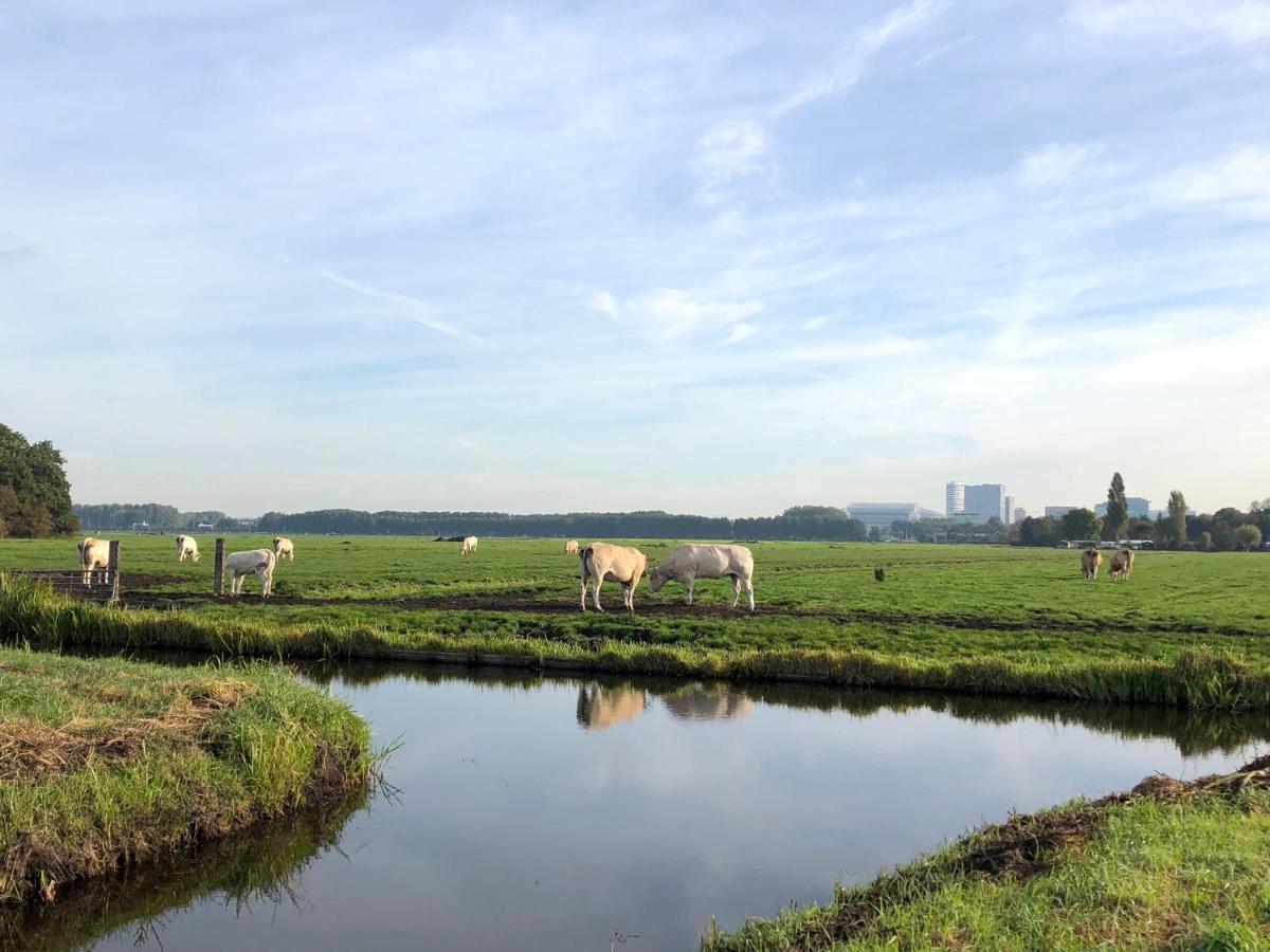 Villa Antonius Amsterdam Ouderkerk aan de Amstel Εξωτερικό φωτογραφία